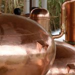 Global Distillery Master 2016: aperte le iscrizioni