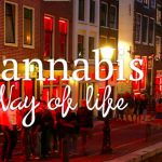 Cannabis Sativa Gin: il cuore di Amsterdam in un bicchiere