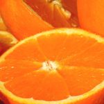 Jerbario - Arancio (Citrus Aurantium)