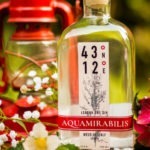43°12° Aquamirabilis Gin: i profumi dell’Umbria