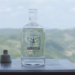 Ambrosia Premium Italian Gin: volare in alto con gli Dèi dell’Olimpo