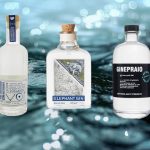 5 Navy Strength Gin da 5 paesi diversi da provare quest’anno