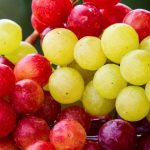 Quanti tipi di uvaggi conoscete? Non parliamo di vino, ma di gin!