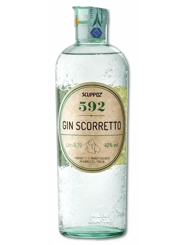 Enciclopedia Bottiglia gin scorretto