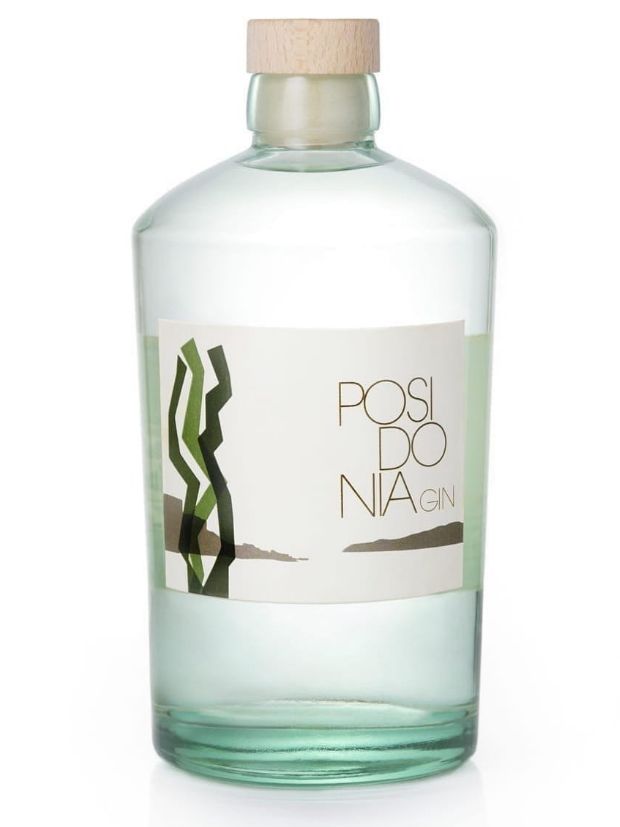 Enciclopedia Bottiglia posidonia